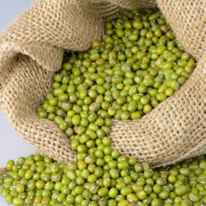 Kacang ijo