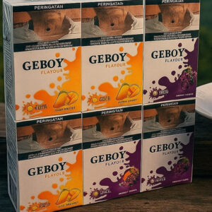 GEBOY