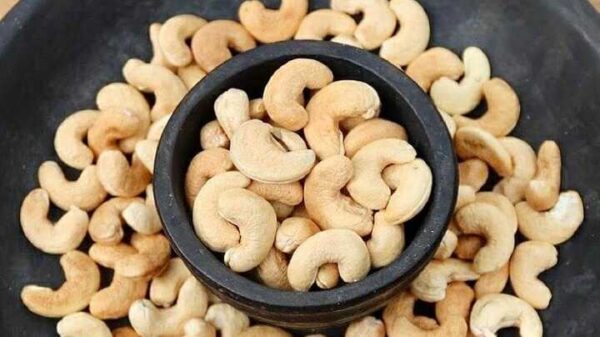 Kacang mete