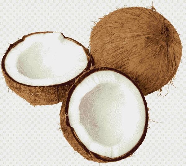 Kelapa tua