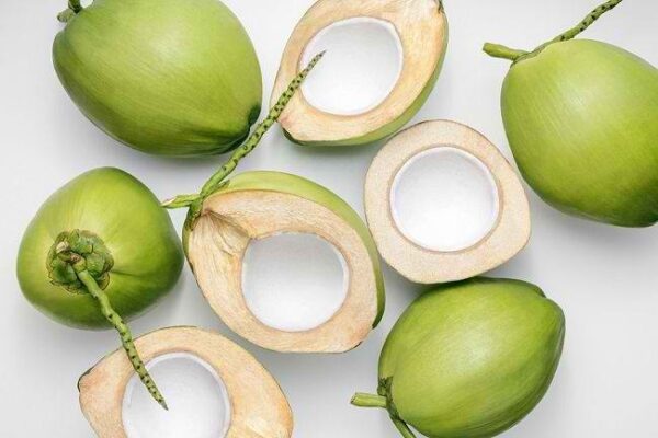 Kelapa muda