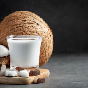 Santan kelapa
