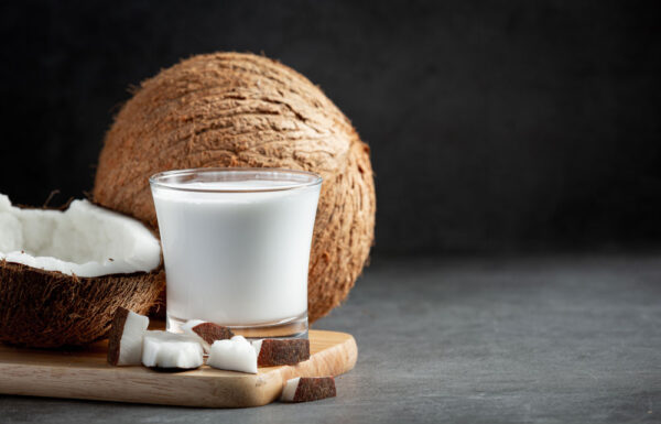 Santan kelapa