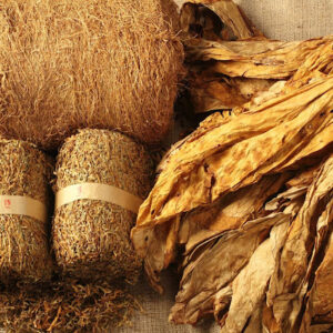 Tembakau Na-Oogst (Besuki Na-Oogst)