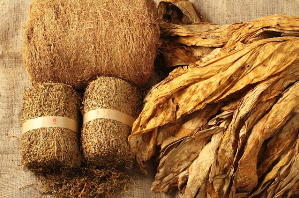 Tembakau Na-Oogst (Besuki Na-Oogst)